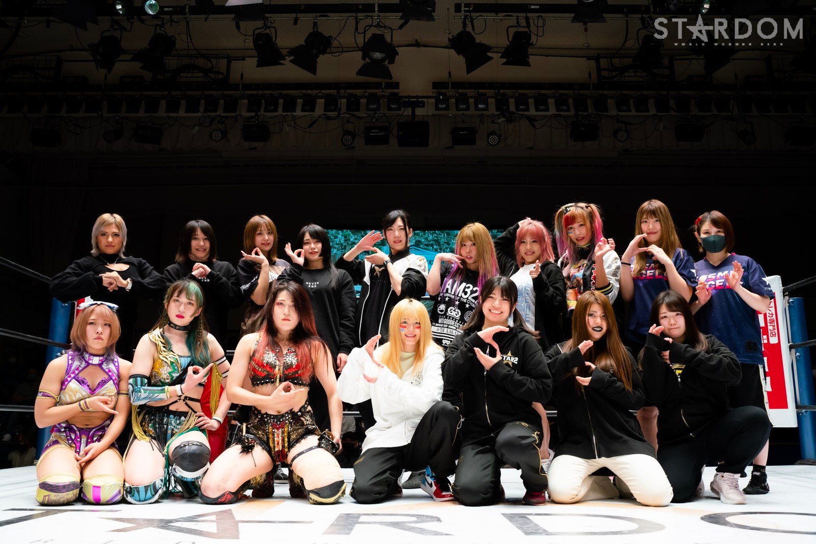 Stardom wrestling hotsell