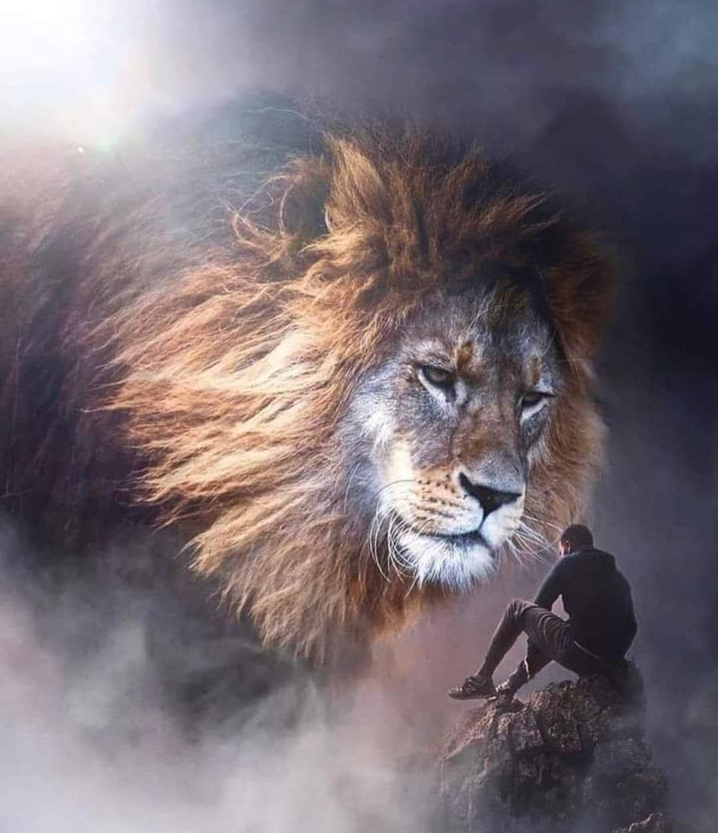 DEUS não dorme, ele vê tudo 🙏🔥🇮🇱