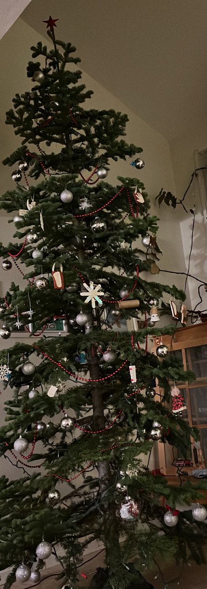 hannahjobean's tweet photo. House sitting this week with a beautiful 🤩 Oregon cut Christmas tree. @OregonGovBrown #alwayschristmas #lifeofthechronicallyill https://t.co/uFO1P5Q1QU