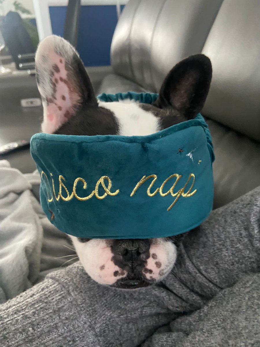 Happy Hogmanay Folks. Beau is preparing for later