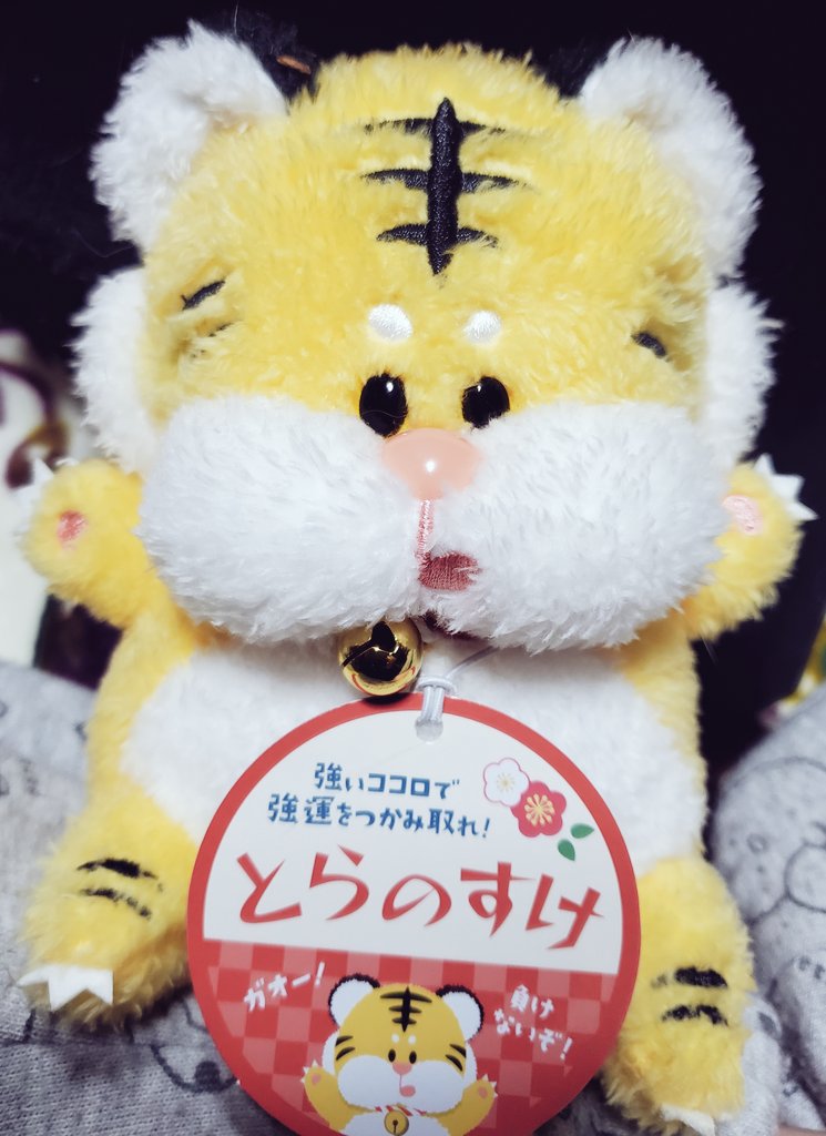 ma_ron6's tweet photo. 皆さんあけましておめでとうございます🎍🐯
低浮上極めてますが
今年も宜しくお願いします🙇‍♀️

どうでもいい事だけど
笑う大晦日の楽屋に置いてる
トラのぬいぐるみ
私も持ってるの笑🐯 https://t.co/ixRbTXfFY3