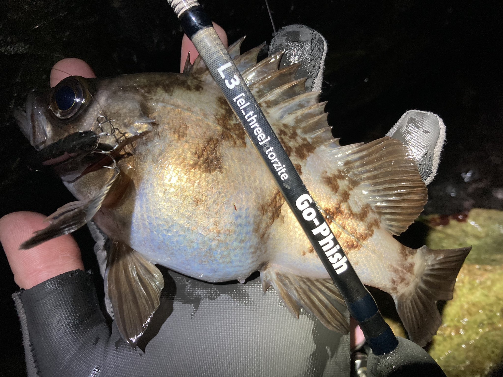 ul-8 STS torzite(トルザイト) go phish ゴーフィッシュ ul-8 sts