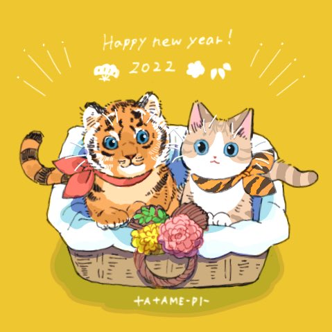 no humans blue eyes basket year of the tiger 2022 cat animal focus  illustration images