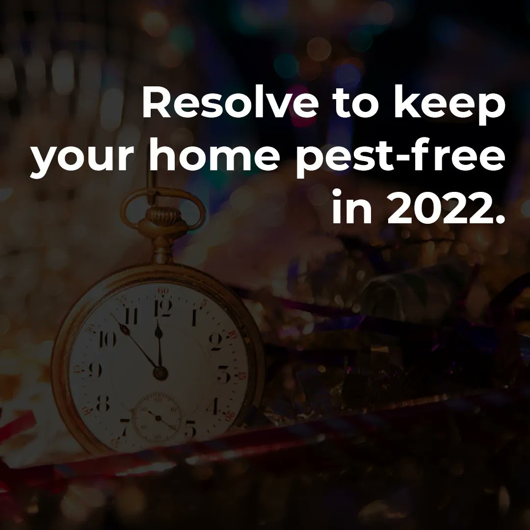 HomePestSC's tweet photo. Thank you for a great year! If you are a fan of our services, please pass along the word to your family and friends. https://t.co/zVlwUPwAPe