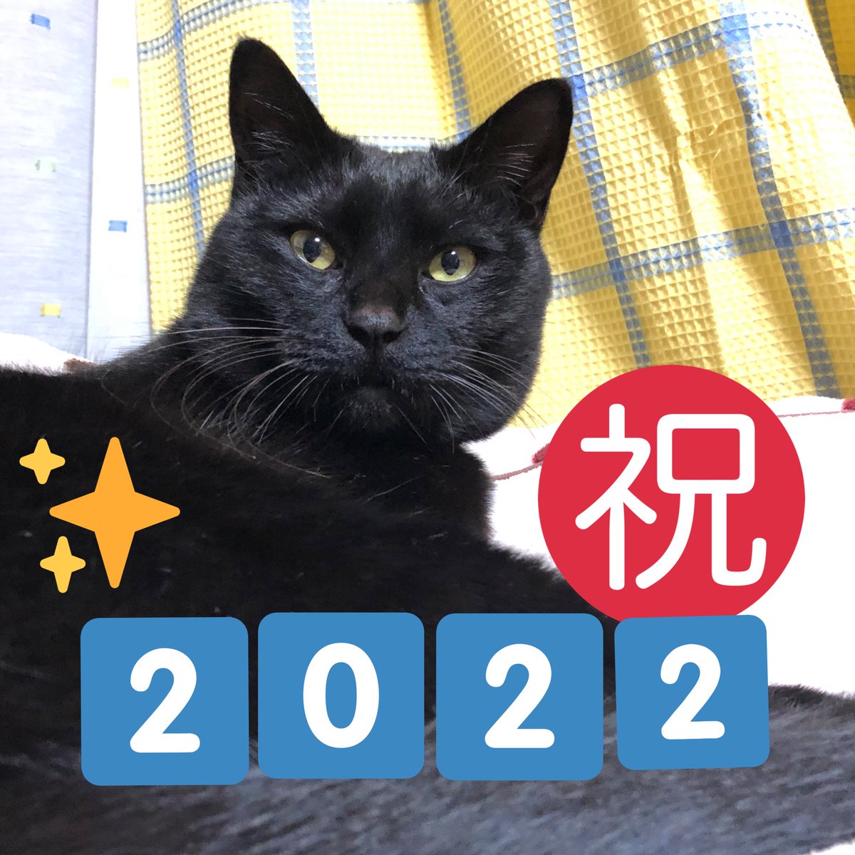 ryoathu20681's tweet photo. Happy New Year😸🐻🌸💕🌳
㊗️✨🎉🎊今年も笑いをお茶の間にお届けしたいな〜🤣❣️トラ🐯大吉🐻共々今年もよろしくお願いします🙋🏻‍♀️💕(⁎ᴗ͈ˬᴗ͈⁎)ﾍﾟｺﾘ https://t.co/9lLMohbHje