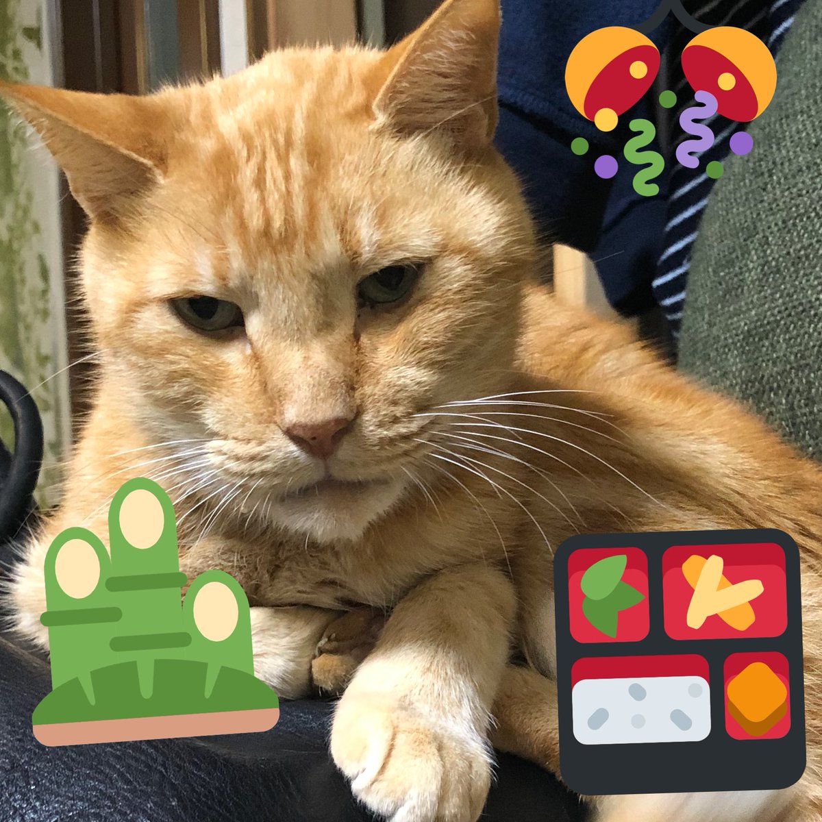 ryoathu20681's tweet photo. Happy New Year😸🐻🌸💕🌳
㊗️✨🎉🎊今年も笑いをお茶の間にお届けしたいな〜🤣❣️トラ🐯大吉🐻共々今年もよろしくお願いします🙋🏻‍♀️💕(⁎ᴗ͈ˬᴗ͈⁎)ﾍﾟｺﾘ https://t.co/9lLMohbHje
