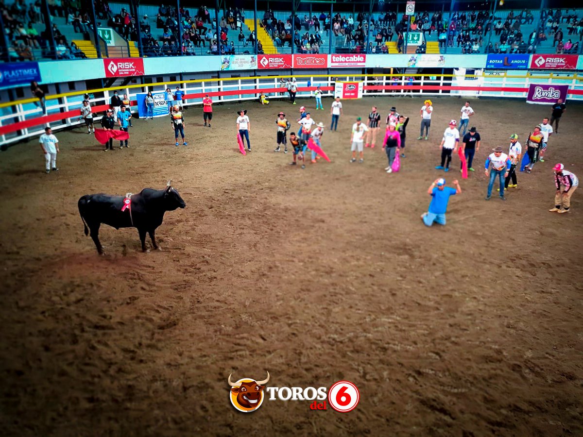 RepretelCR's tweet photo. ¿Se animaría usted a tirarse de improvisado o improvisada en los #TorosDel6? 🤠 🙋♀️🙋♂️ https://t.co/QjUFOvQBJG