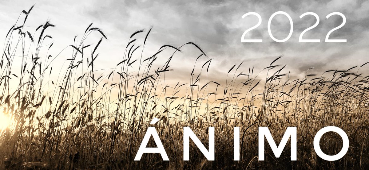 Damián García (@rampante13) on Twitter photo 