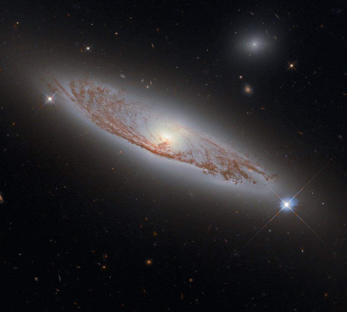 Hubble tweet media