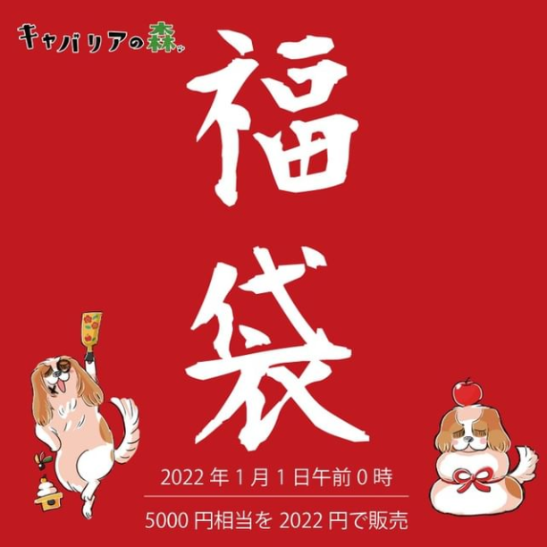 cavaforest's tweet photo. あけましておめでとうございます。
今年もキャバリアの森をよろしくお願いします。早速ですが、福袋の販売を開始しました！キャバリアの森オリジナルグッズ5000円相当商品を2022円で販売します。
中身は届いてからのお楽しみ！！ https://t.co/EZKPfQ72W0