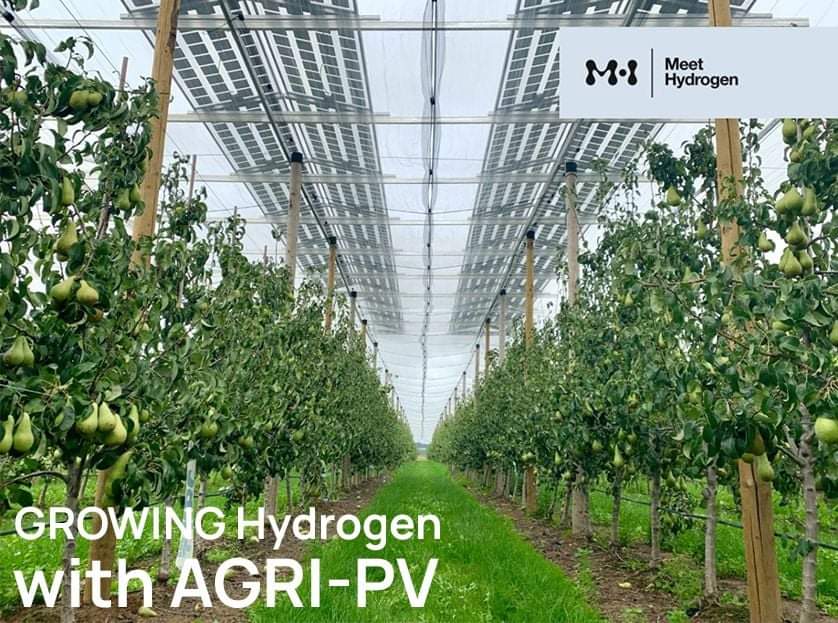 The future?! Farms that GROW Food🌱 and GROW Hydrogen💚 Together. At the same time. if we deploy AgriSolar on just 1% of whole European arable land it will give us approx 700GW of electricity that is an equivalent to 25% of whole European energy consumption. #meethydrogen