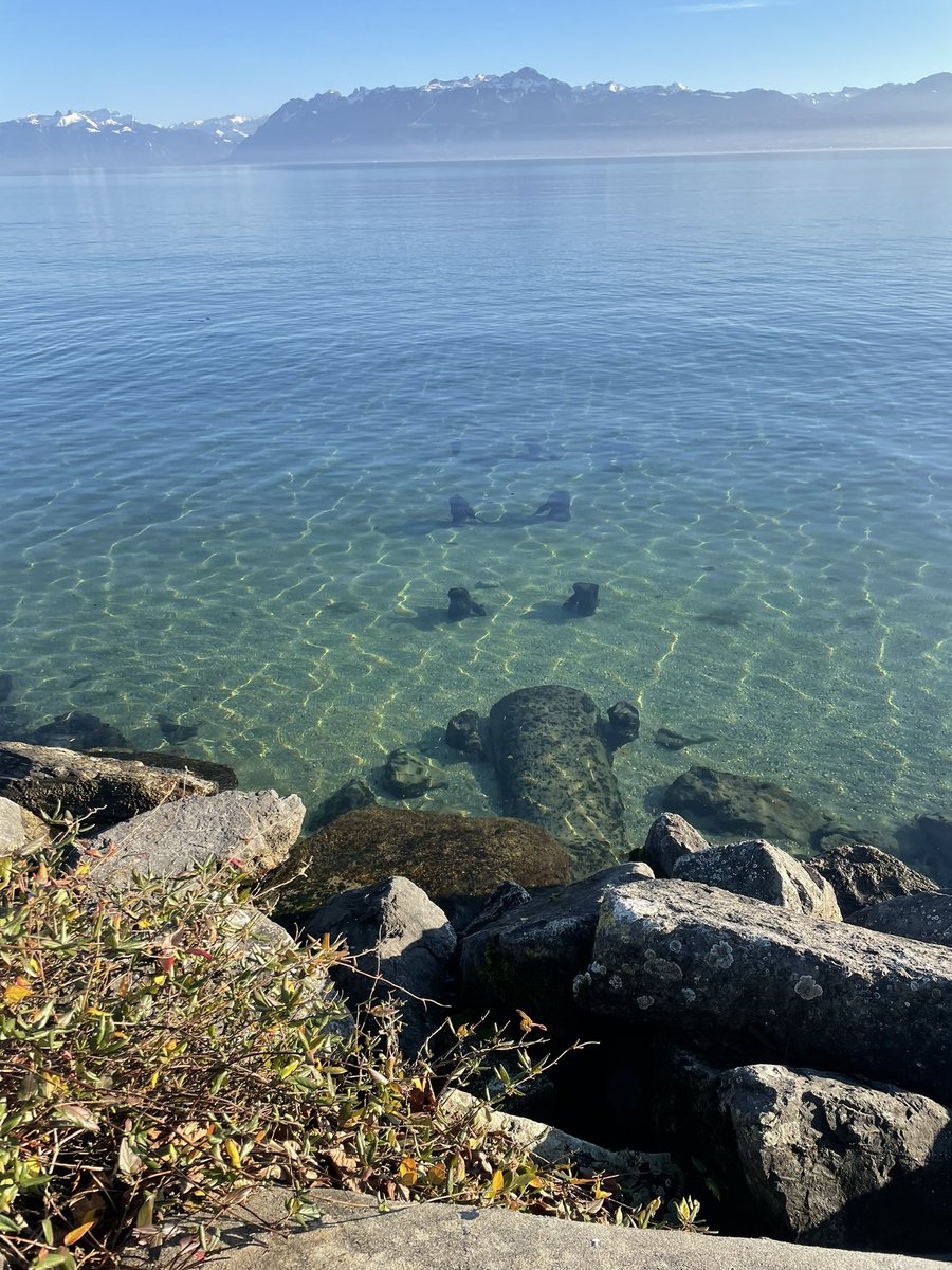 #morges #lastdayof2021