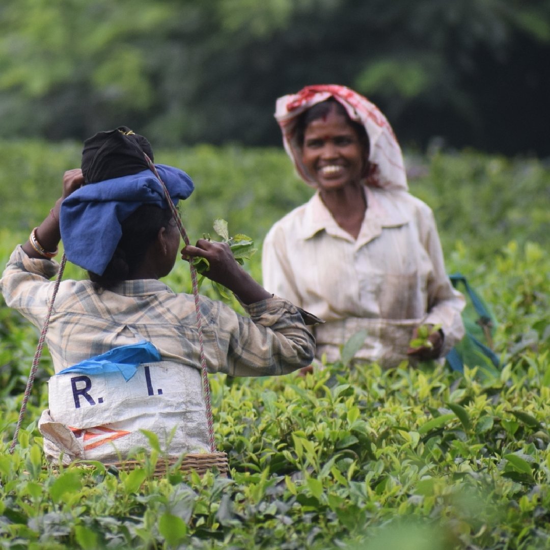 The Eteakol team wishes you all a happy #newyear #2022
May this new year be filled with delicious cups of #tea ethically produced!