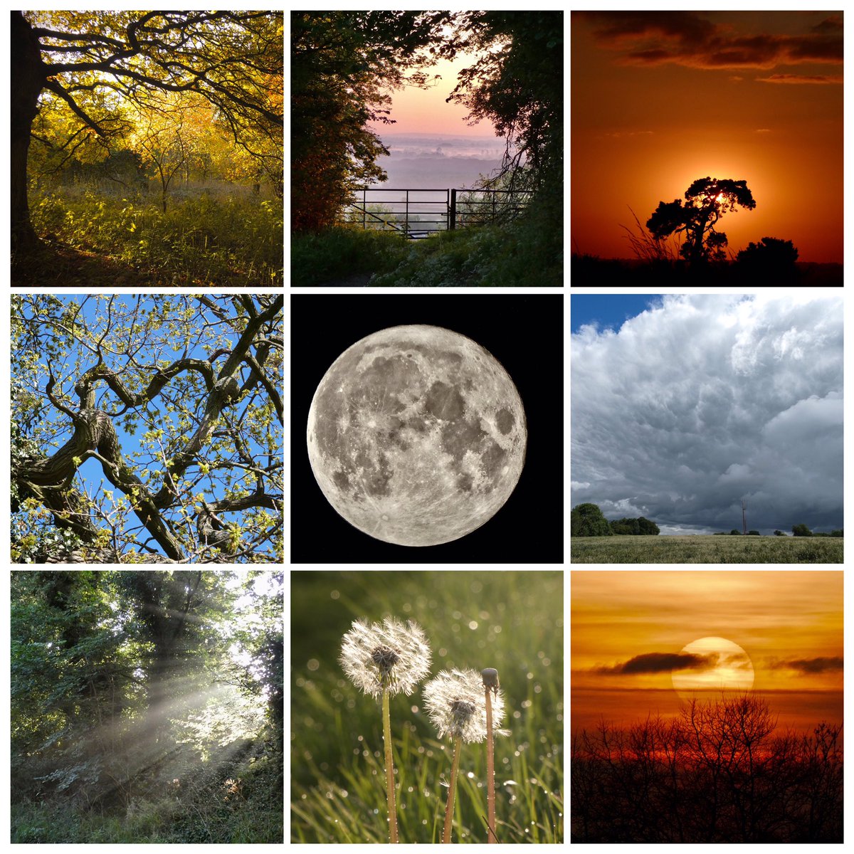 ksampford's tweet image. #Goodbye2021 “You have to change your thinking if you desire a future different from your present.” #GermanyKent “Don't be pushed around by the fears in your mind. Be led by the dreams in your heart.” #RoyTBennett #Motivation #Quotes #NYE2021 #NewYear2022 @ThePhotoHour @StormHour