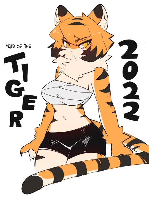 Happy New Year 🐯 