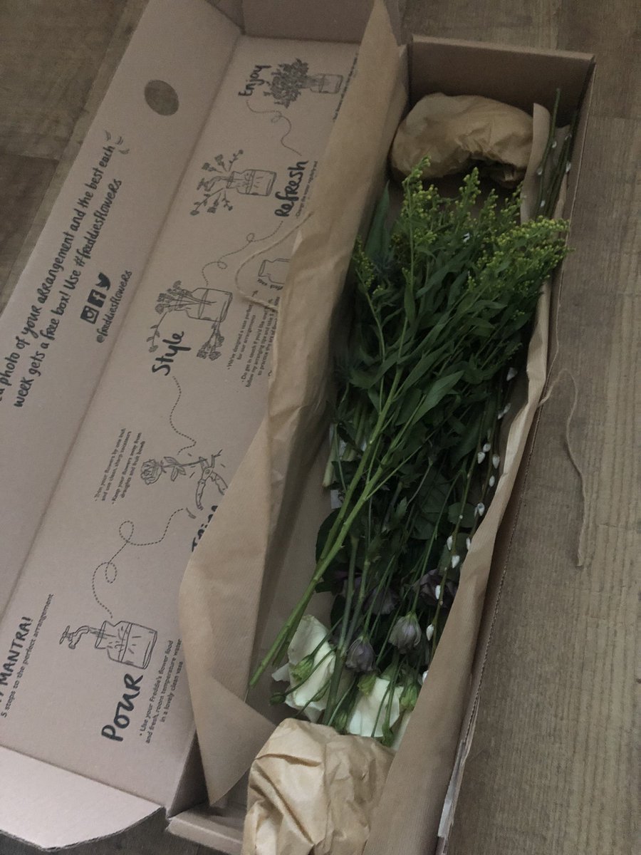 LarDeDa1's tweet photo. When you forget that you signed up for flowers as yet another Christmas gift to yourself! 🙈😬😂
Was such a lovely surprise tho and just what I’d buy too! 😍🥰
#christmas #gifttome #flowers
@BeverleyTaylo 🙌🏼😊😊😊@FreddiesFlowers https://t.co/fUt8sbz65Z