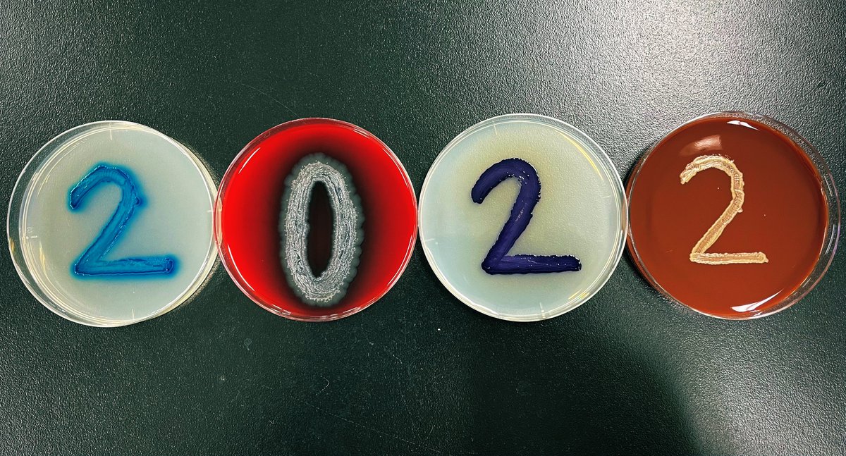 DraWataru's tweet photo. Happy New Year 2022 🧫👾🎍🗼🇯🇵
#Microbiology https://t.co/QVnlCZIdKP