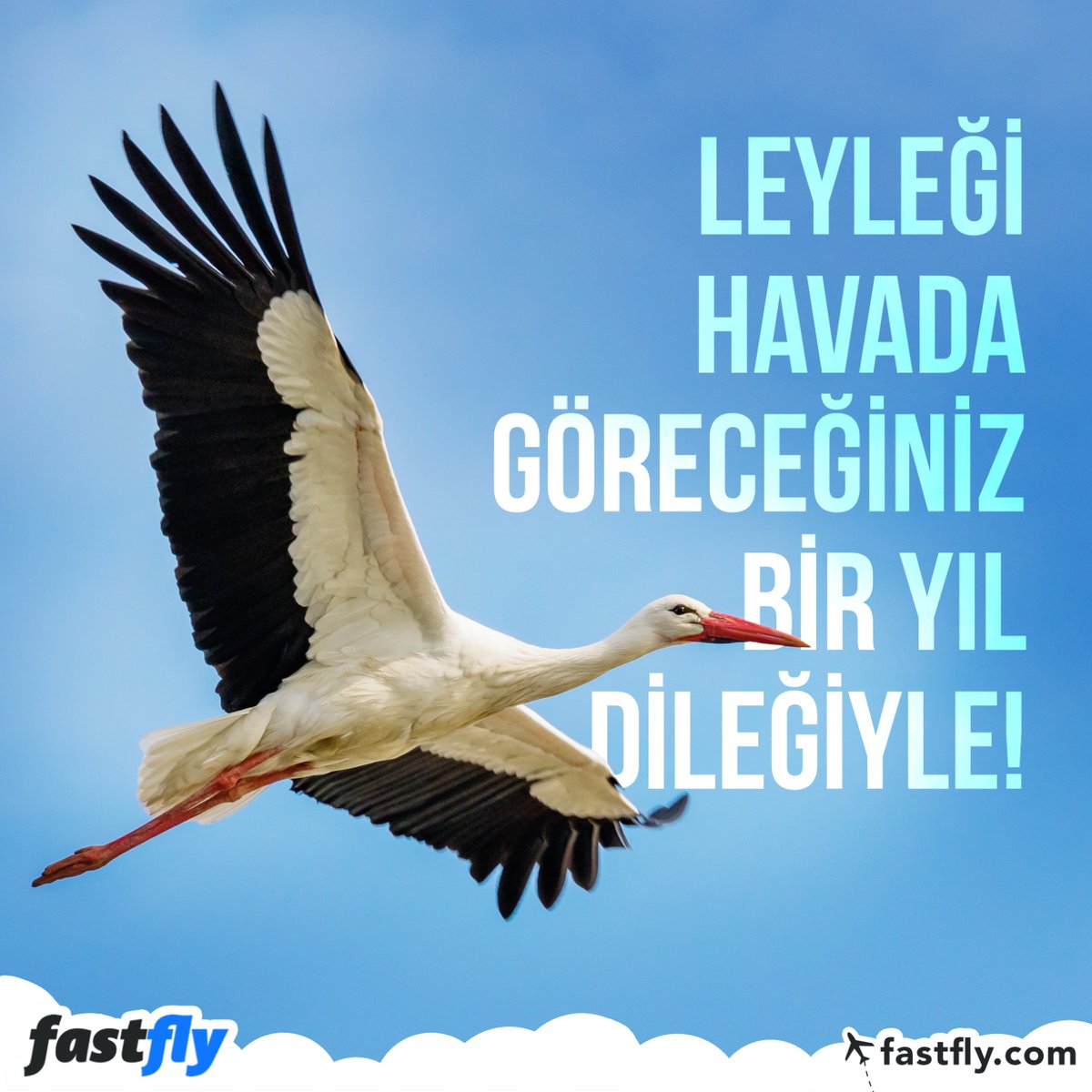 FastFly tweet media