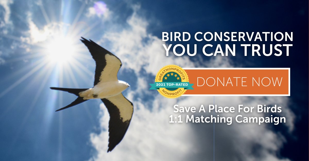 Less than 24 hours left! Our #SaveAPlaceForBirds 1:1 Matching Campaign ends at midnight tomorrow, and we just increased our goal by $100,000 to $1.1 million - the largest in our history. Please help us raise this additional $100K for birds! act.abcbirds.org/a/donate-fall-…