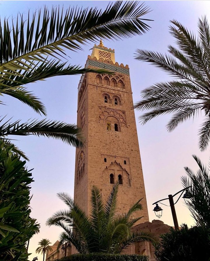 toursMaroc79's tweet photo. La mosquée Koutoubia (arabe : الكتبية );est un édifice religieux construit au xiie siècle à Marrakech, Maroc. Elle est la plus grande mosquée de la ville. Son architecture et son décor ascétique reflètent l'art des Almohades.

Une première mosquée fut construite en 1148 https://t.co/ZPTslnz48K