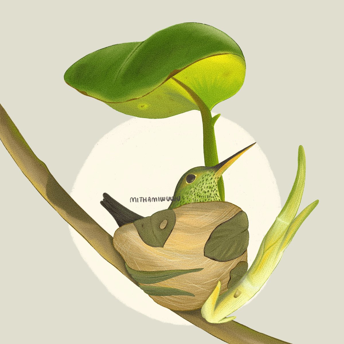mithamiwuwu's tweet photo. Haloo. Akhir bulan ini aku resmi resign dari kantor. Jika kamu butuh ilustrator digital atau watercolor, boleh hubungi aku. Keahlianku: merancang sampul buku, ilustrasi puisi, dan komik. Mohon infonya dan setiap retweet berarti ☺️❤️ https://t.co/rvgxbPzNNS