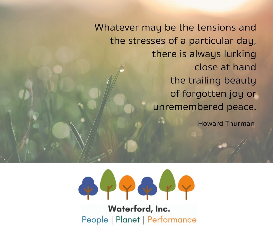 servelearngrow's tweet image. #soulmatters
#inspirationalquotes
#leadingwithpurpose
#openingtojoy
bethoffenbacker.com/soul-matters