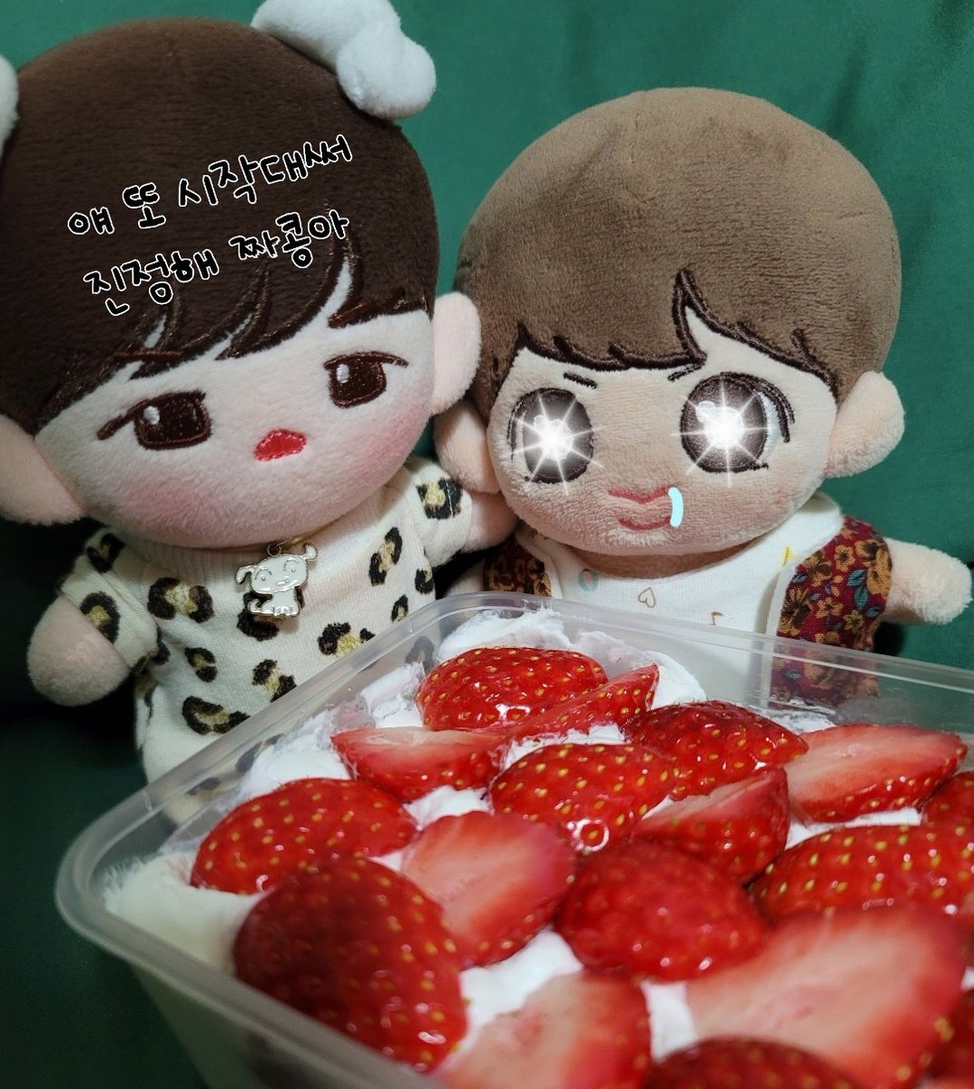 새해인사.. 망
이머들 새해 복 많이받구
2022년에도 사랑해주세요❤

<a href="/hasengkong/">셍콩성장일기</a> 작콩이는 잘먹고 잘지내요😀

#짼구 #작콩이