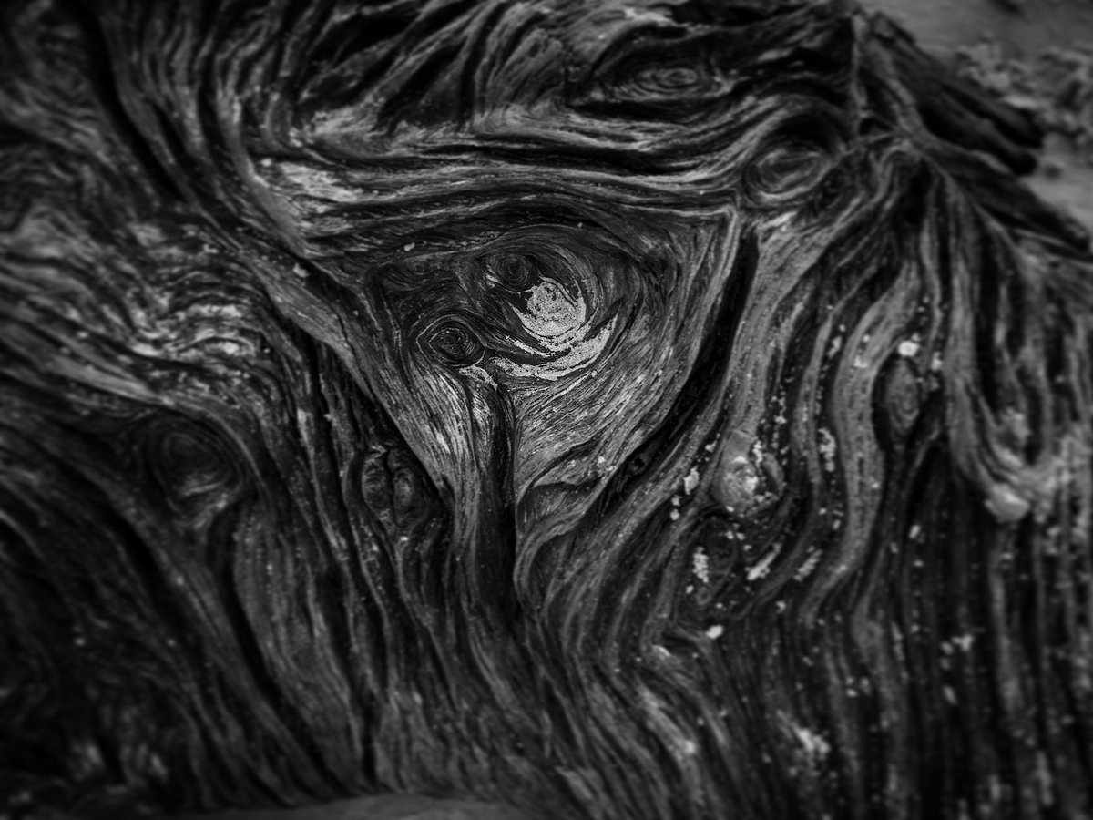 Felipe Barral tweet media