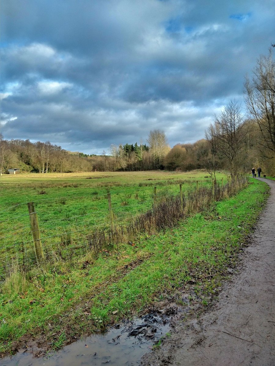 davejackson1954's tweet photo. T shirt weather today.
4different #Telford #localnaturereserves ( one not ratified yet) in today's short walk
Can you spot them ? Tried to avoid the obvious shots.
@My_Wild_Telford @telfordlive https://t.co/4DUeaDEfVp