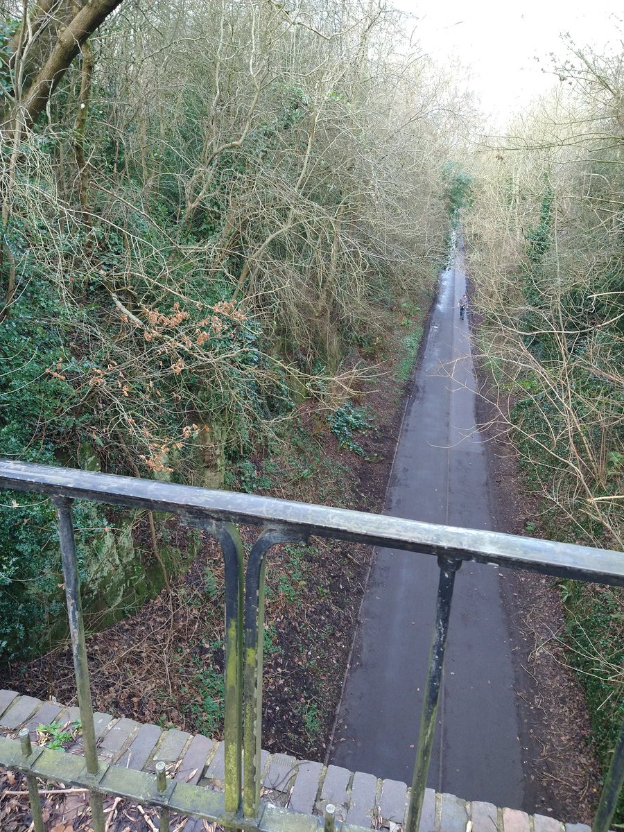 davejackson1954's tweet photo. T shirt weather today.
4different #Telford #localnaturereserves ( one not ratified yet) in today's short walk
Can you spot them ? Tried to avoid the obvious shots.
@My_Wild_Telford @telfordlive https://t.co/4DUeaDEfVp