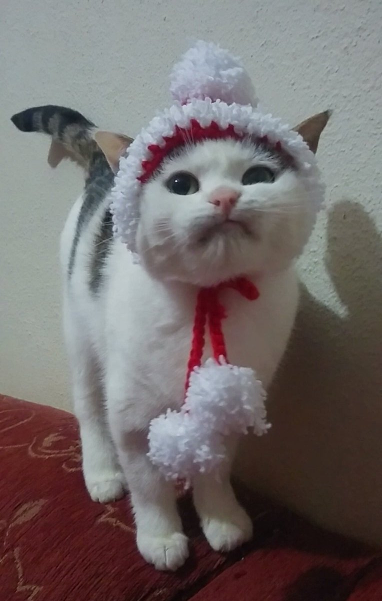 gelpisip's tweet image. Kukuledamı nedem düskün takmadın. Yeni yıla beyle mi giriçem