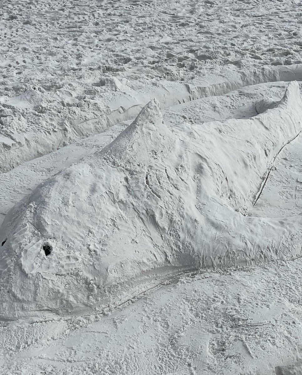 CorieHaynes's tweet photo. Sand sculptures yesterday and this morning… waiting to see what this next one is going to be! #RIP2021 #beachinit #HappyNewYear https://t.co/NFqZw1ohLi