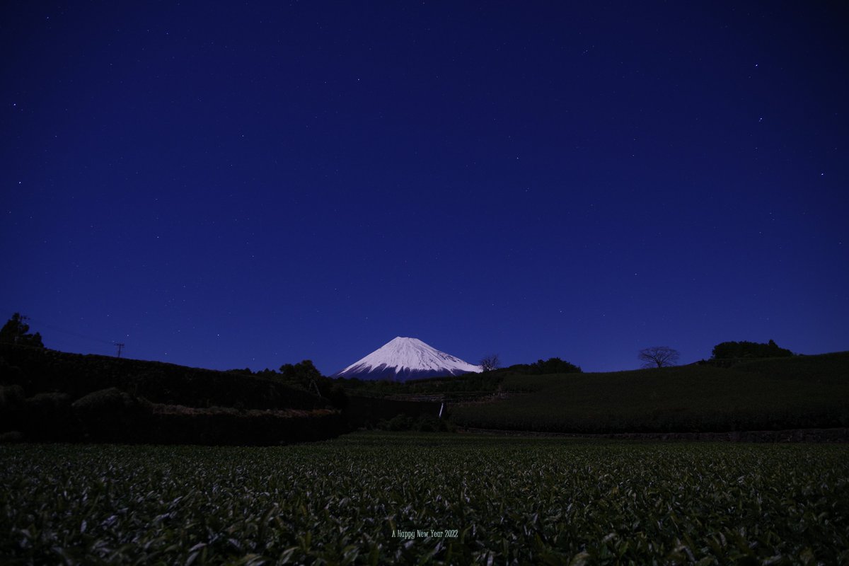 本年もよろしくお願いいたします