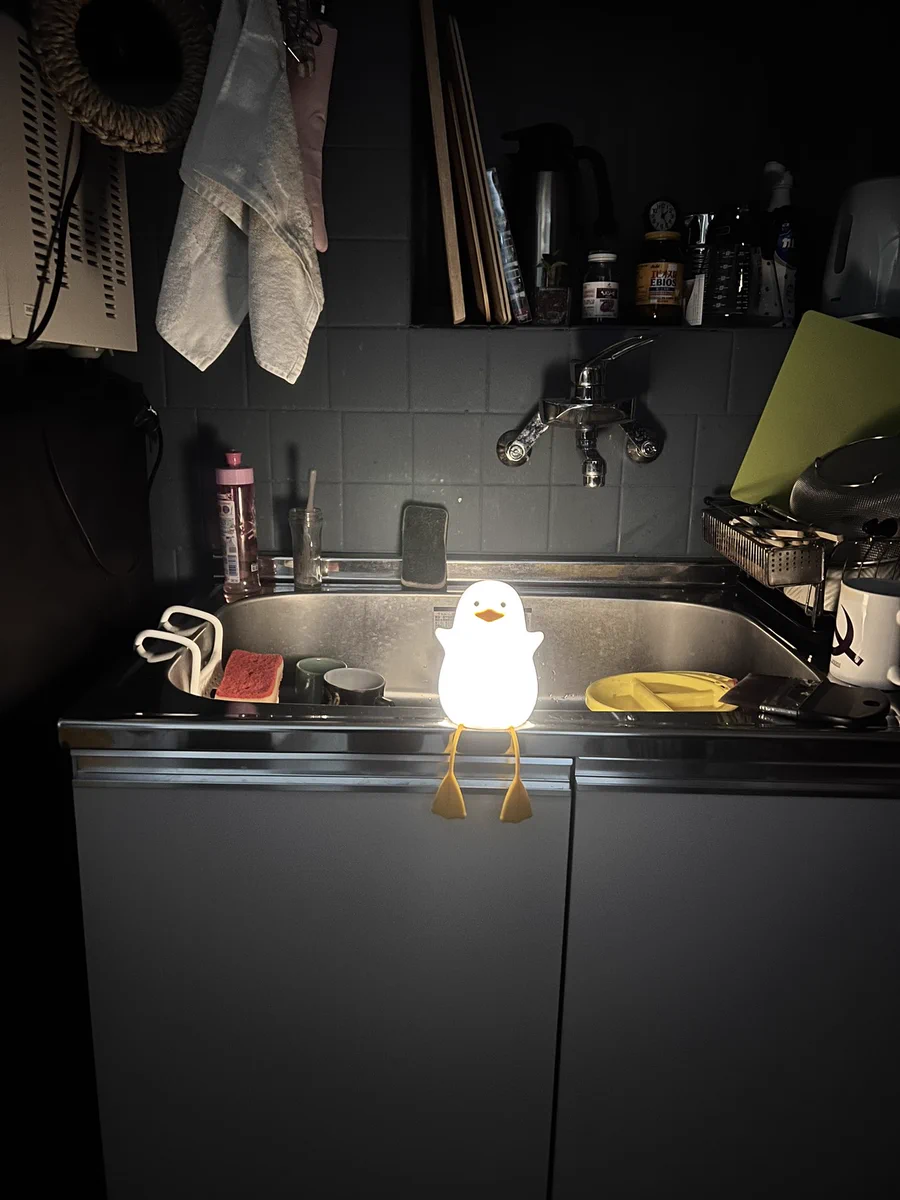 年明けすぐ停電したけど？光る鳥のおかげで新年を凌げたwww