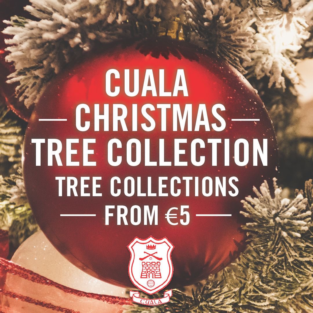 CualaCLG's tweet photo. If you were beginning to wonder about disposing of the tree… https://t.co/U2f3PRXAt1 https://t.co/ZBxFZpa0lm