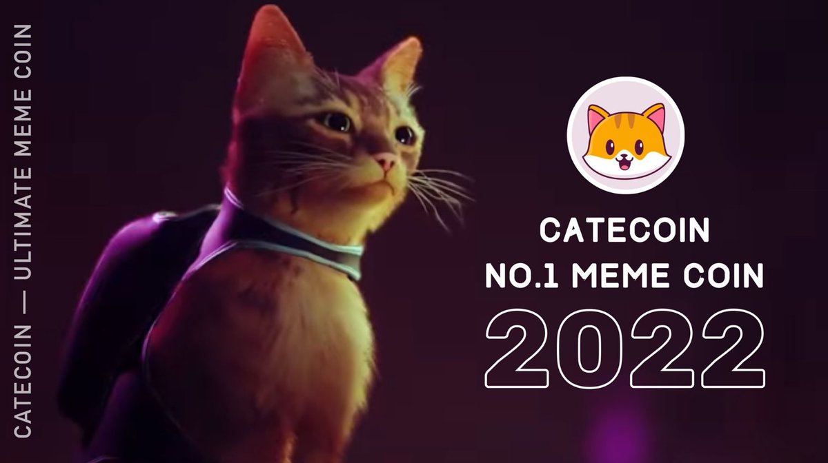 catecoin's tweet photo. We’d like to wish everyone a Happy New Year and an amazing 2022 — The year of #CATECOIN!!! https://t.co/eg20fvrv3f