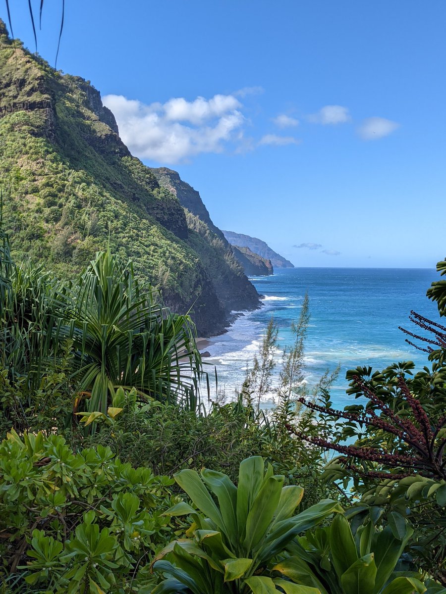 Jeff Dean tweet media