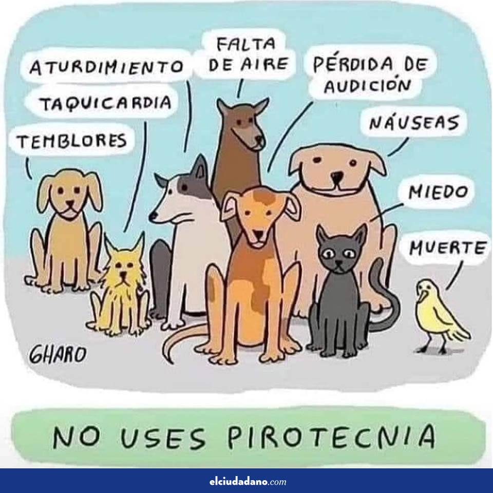 El_Ciudadano's tweet photo. #NoMasPirotecnia por nuestros #animales y nuestros niñxs con TEA

#Chile #AñoNuevo #bienvenido2022

Ilustración: Gharo https://t.co/XwDqyFkJe9
