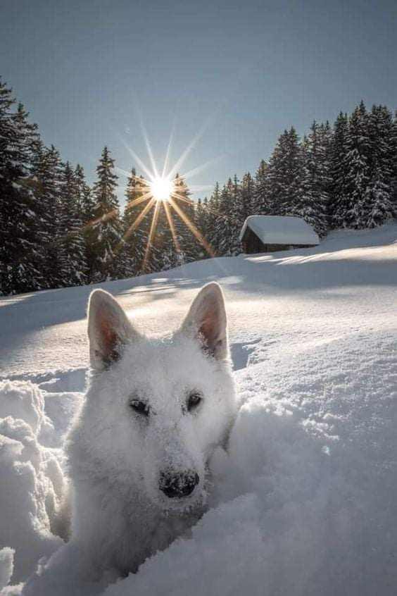 Sari_Friends's tweet photo. ※※※ SO BEAUTIFUL 😍💗
#HappyNewYear2022  #NaturePhotography https://t.co/BGt6Xapfd3