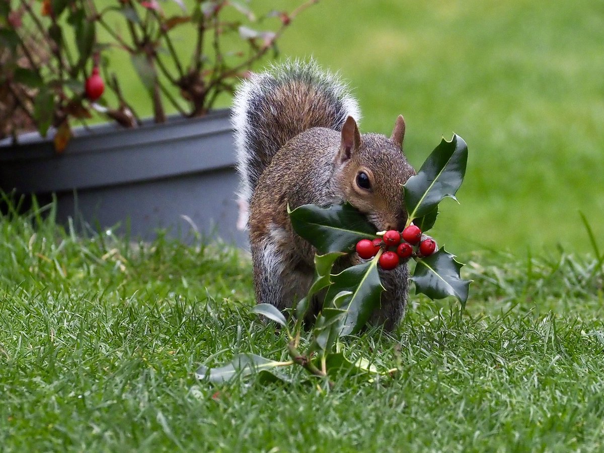 Dave Butler tweet media