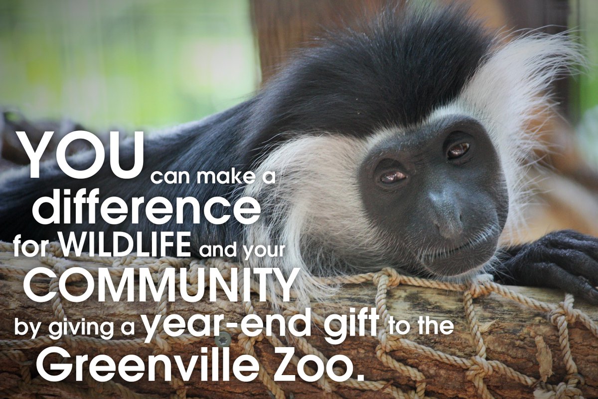 Today is the last day to make a 2021 tax deductible donation. Help us make a difference for wildlife and your community by giving a year-end gift to the Greenville Zoo. 
Donate here: interland3.donorperfect.net/weblink/weblin…