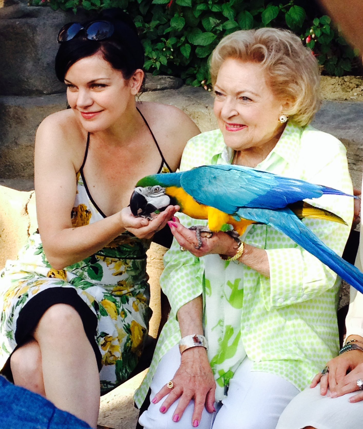 Pauley Perrette: A Role Model For Beauty - ukj960i