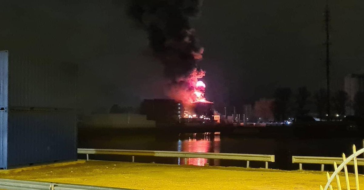 massimo 💻🎞 🚗🌳🎇 tweet media