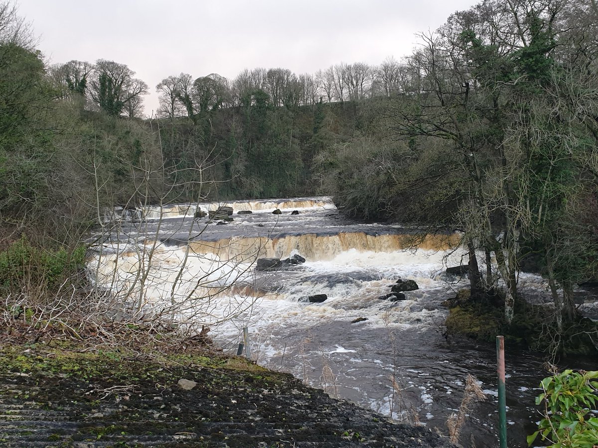 RibblesdaleC's tweet photo. Evening! Four of my fave waterfalls for Friday and end of the year! Here are #AysgarthFalls, #AysgillForce, #MillGillForce &amp; #CotterForce #YorkshireDales 
Wishing everyone a great end of the year &amp; thank you for all your support, we would not be here without you.
Happy New Year! https://t.co/QjnFy25pAX