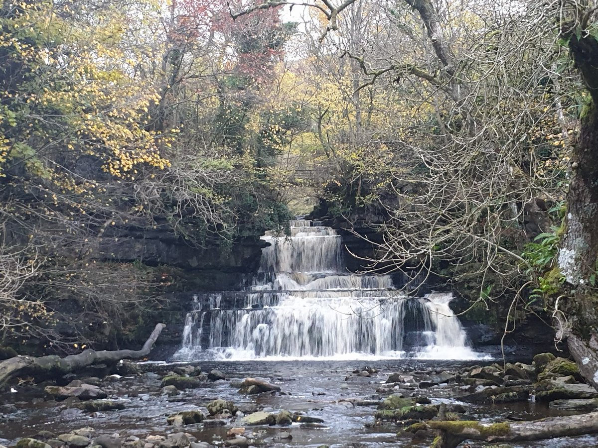 RibblesdaleC's tweet photo. Evening! Four of my fave waterfalls for Friday and end of the year! Here are #AysgarthFalls, #AysgillForce, #MillGillForce &amp; #CotterForce #YorkshireDales 
Wishing everyone a great end of the year &amp; thank you for all your support, we would not be here without you.
Happy New Year! https://t.co/QjnFy25pAX