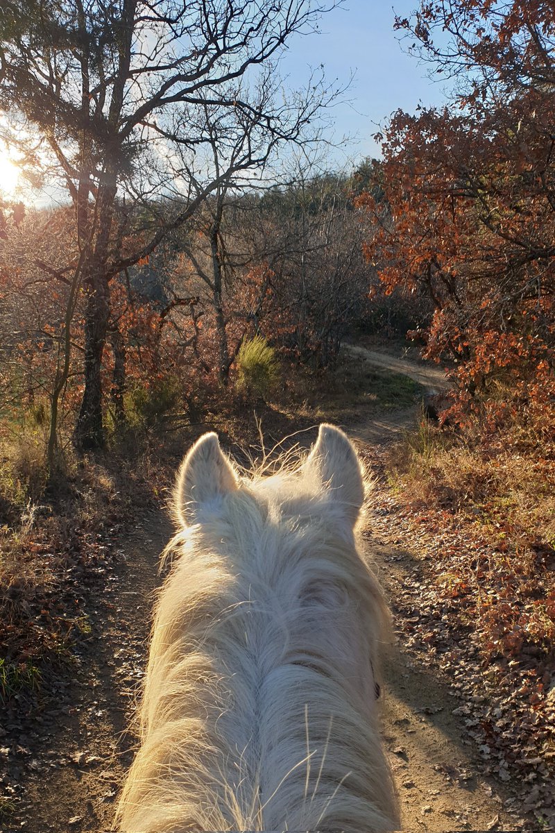 illusoirx's tweet photo. Mourir pour ses oreilles face à l'incroyable paysage d'aujourd'hui https://t.co/9OaaxIqloq