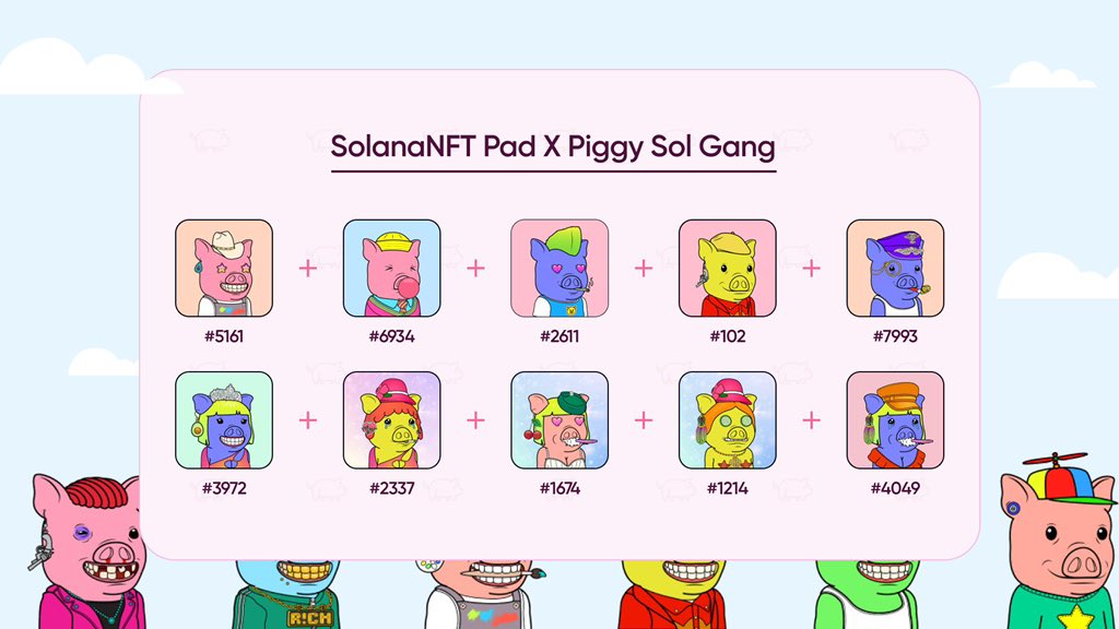 PiggySolGangDAO's tweet photo. Looks like they did a little sweeping for us for a giveaway 🥰 cool project here! https://t.co/smQihKmCLu