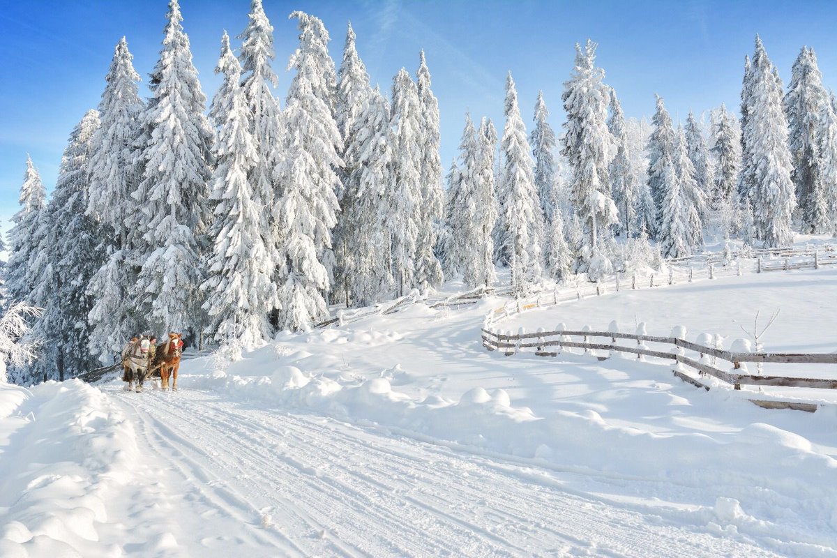 🎆New Year’s is a time to reflect on the previous year and celebrate the arrival of a new one. A joyous and healthy New Year to everyone! #HappyNewYear2022 🎊🥳