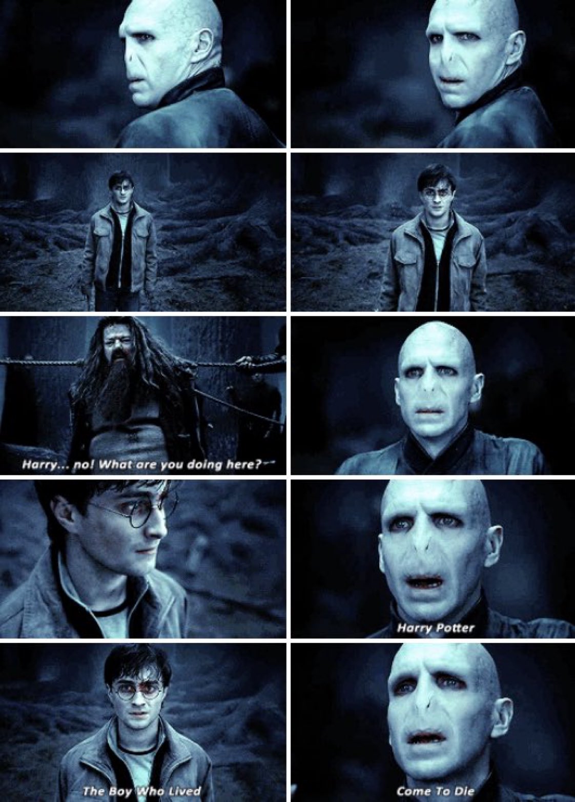 Harry Potter Universe on X: ““Harry Potter. The Boy Who Lived