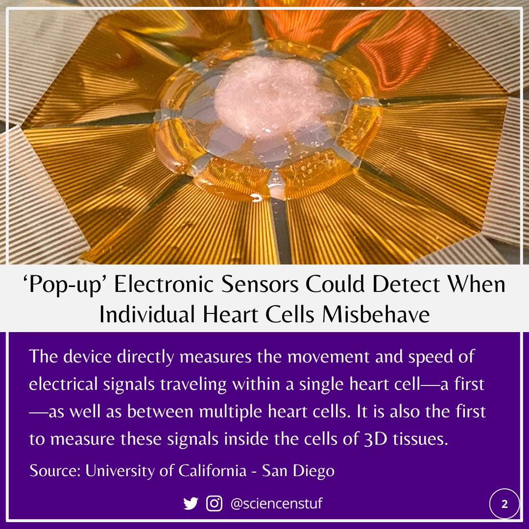 ‘Pop-up’ Electronic Sensors Could Detect When Individual Heart Cells Misbehave

Source: University of California - San Diego

📷 Nature Nanotechnology and Yue Gu/UCSD 

#tech #news #electronicsensors #heartcells #3dtissues #health #universityofcalifornia

ucsdnews.ucsd.edu/pressrelease/p…